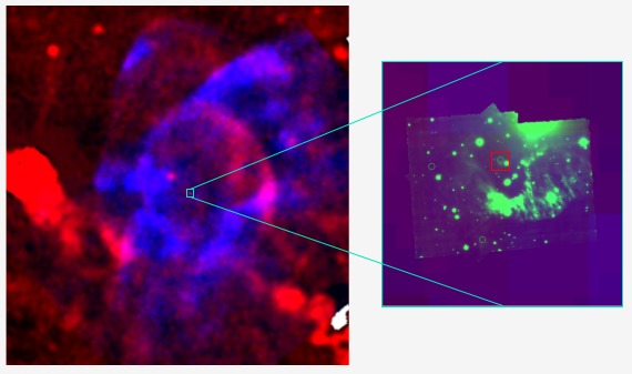 Radio - Optical - Xray images